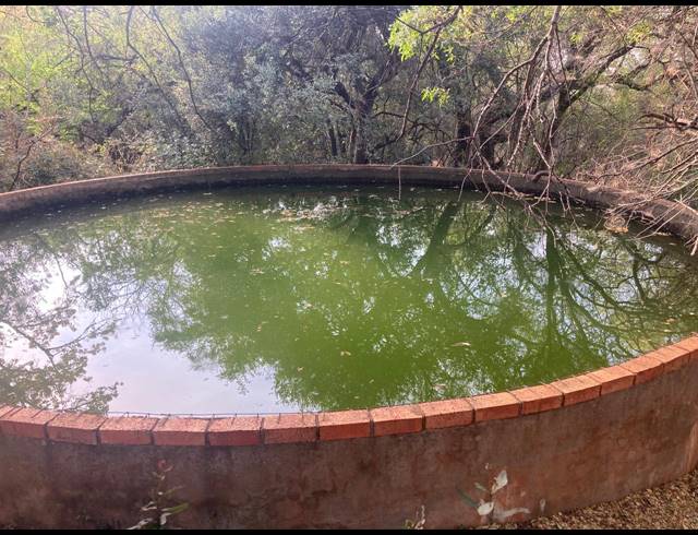 81HA FARM FOR SALE IN RIETVLY AH